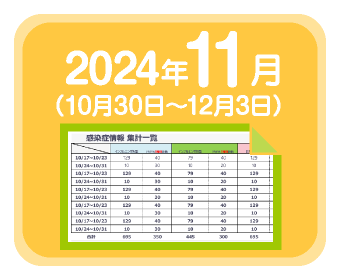 2024年11月