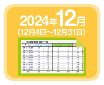 2024年11月